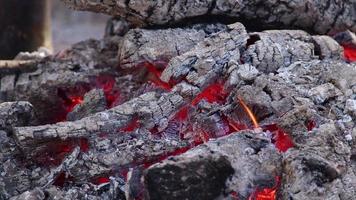feu de bois flammes sur barbecue video