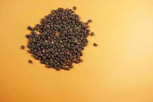 Water spinach seeds isolated on yellow background. photo