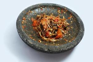 Indonesian food. Sambal Ikan Teri, Anchovy sauce photo