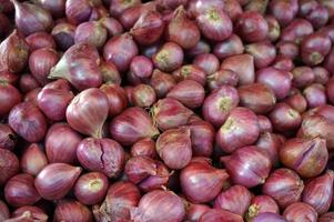 A view of several shallots on display at a local farmers market. photo