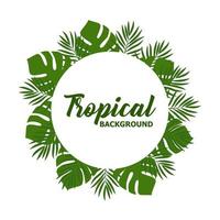 Green summer tropical background with exotic palm leaves and plants. Vector floral background.