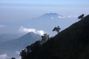 View from the merbabu mountain hiking trail. Central Java, Indonesia photo