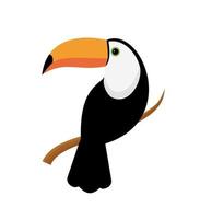 Vector image of a bright tropical Toucan bird on a white background. Colorful icon of tropical nature.