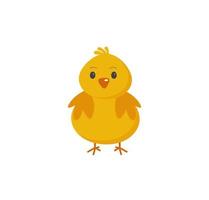 Sweet yellow easter chicken sitting waiting for easter. vector