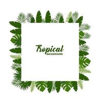 Green summer tropical background with exotic palm leaves and plants. Vector floral background.