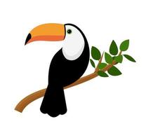 Vector image of a bright tropical Toucan bird on a white background. Colorful icon of tropical nature.