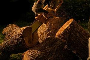 electric chainsaws cut trees in the forest for building a house and making firewood The concept of deforestation photo