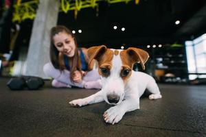 Cute jack russell dog in gym with her owner woman. photo