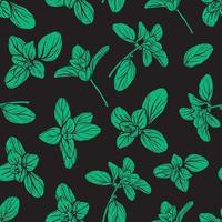 Basil Pattern. Italian herbs.A sprig of marjoram vector