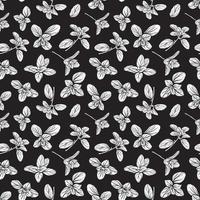 Basil Pattern. Italian herbs.A sprig of marjoram vector