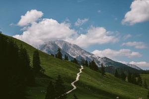 un camino entre montañas en el verano foto