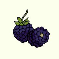 ilustración de vector de fruta de mora fresca. fruta de baya icono plano