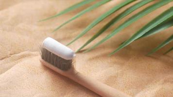 Toothbrush with toothpaste close up with plant video