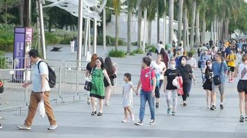 persone a piedi su pubblico parco video