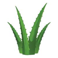 Green aloe vera icon, cartoon style vector