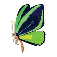 Dark blue-green butterfly icon, cartoon style vector