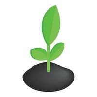 Sprout isometric 3d icon vector