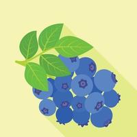 Tasty bilberry icon, flat style vector