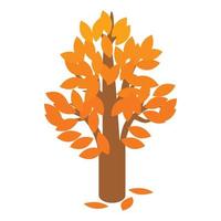 Golden autumn tree icon, isometric 3d style vector