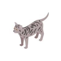 Bengal cat icon, isometric 3d style vector