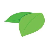 Green leaves isometric 3d icon vector