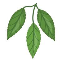 Cocoa leaf tree icon cartoon vector. Bean plant vector