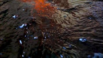 peces koi japoneses o carpas elegantes nadan en un estanque de peces hecho de piedra negra. mascotas populares para la relajación y el significado del feng shui. animales de agua dulce que hacen que la gente los tenga para la buena suerte video