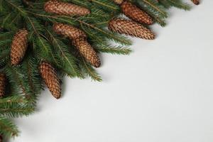 Holidays greeting card or banner composition with pine tree branches. Merry Christmas background and Happy New Year 2023. photo