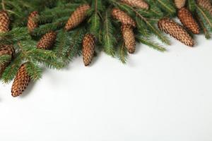 Holidays greeting card or banner composition with pine tree branches. Merry Christmas background and Happy New Year 2023. photo
