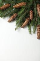 Holidays greeting card or banner composition with pine tree branches. Merry Christmas background and Happy New Year 2023. photo