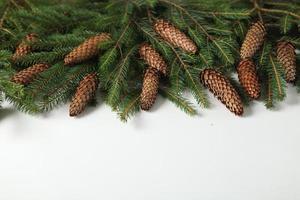 Holidays greeting card or banner composition with pine tree branches. Merry Christmas background and Happy New Year 2023. photo