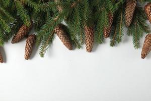 Holidays greeting card or banner composition with pine tree branches. Merry Christmas background and Happy New Year 2023. photo