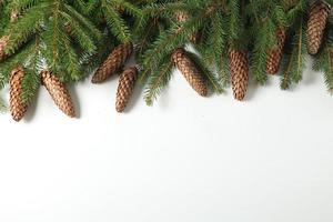 Holidays greeting card or banner composition with pine tree branches. Merry Christmas background and Happy New Year 2023. photo