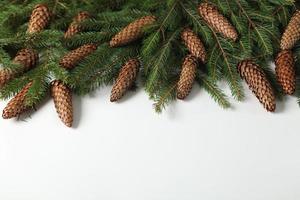 Holidays greeting card or banner composition with pine tree branches. Merry Christmas background and Happy New Year 2023. photo