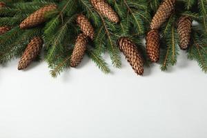 Holidays greeting card or banner composition with pine tree branches. Merry Christmas background and Happy New Year 2023. photo