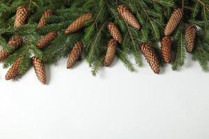 Holidays greeting card or banner composition with pine tree branches. Merry Christmas background and Happy New Year 2023. photo