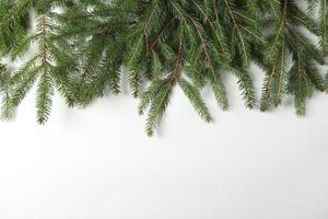 Holidays greeting card or banner composition with pine tree branches. Merry Christmas background and Happy New Year 2023. photo