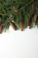Holidays greeting card or banner composition with pine tree branches. Merry Christmas background and Happy New Year 2023. photo