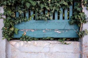 Beautiful wooden fence with peeling blue paint with a concrete cracked base and green plants. Provincial town architecture. photo