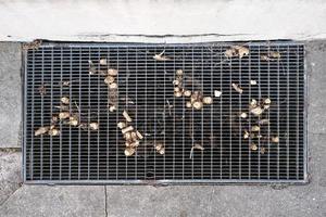 Steel grating for a storm sewer, with pieces of sawn branches stuck in it, on the sidewalk. Top view. photo