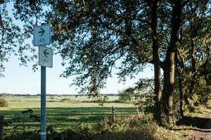 road sign for cyclists with an arrow indicating the route to follow along the path photo