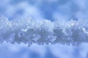 fondo de invierno con una cuerda cubierta de cristales de nieve y escarcha. abstracto, copia espacio, textura nieve, congelado foto