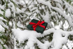 Gift in green box with red ribbon on snowy spruce tree in winter forest Christmas background and New Year holidays photo