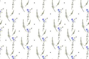 Wild herbs and flowers colorful seamless pattern with chicory, horsetail, Vector illustration on white background for on-screen or printed design on paper or fabric