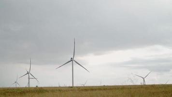 em um belo campo com flores cor de rosa, há moinhos de vento ao longe. energia alternativa e renovável. tecnologia moderna. conceito de eletricidade verde. video