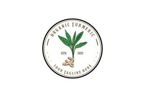 etiqueta circular vintage de la planta de cúrcuma para el logotipo de la granja o del producto vector