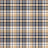 Plaid seamless pattern. Vector background of textile ornament. Flat fabric design.