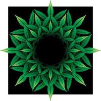 patrón redondo de hoja de cannabis en negro vector