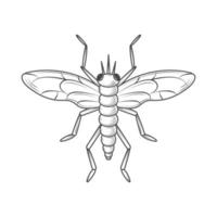 icono de insecto saltamontes vector