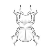 hornet insect animal vector